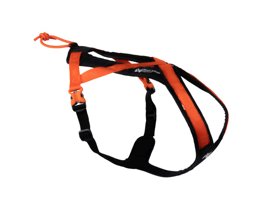 Rush harness orange